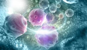 CRISPR Gen Düzenleme Aracı İlk Kez İnsanda Kullanıldı