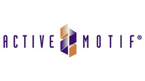 ACTIVE MOTIF