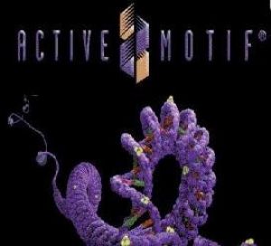 Protein Detection and Quantitation