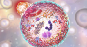 Cell Biology Products