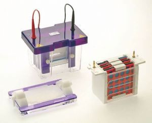 OmniPAGE Complete Mini System for Electrophoresis & Blotting