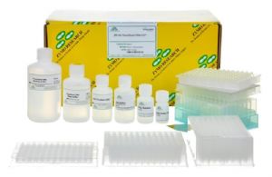 Plasmid DNA Isolation