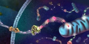 Cell Biology