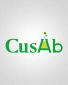 Small Molecule