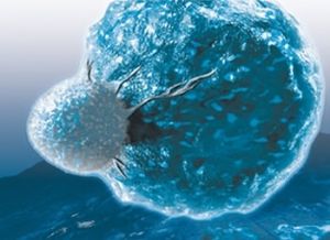Antibody Arrays
