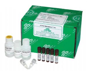 Bisülfit Free RT-PCR Metilasyon Quantification Kitleri