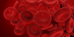 Molecular Diagnostics