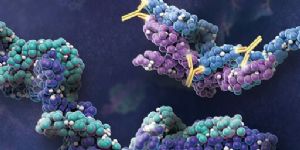 Protein Analysis