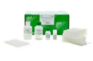 Tissue&Cell RNA Isolation