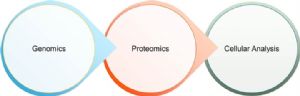 Molecular Biology Reagents