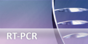 RNA Analysis