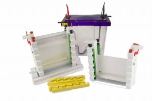 OmniPage Maxi Vertical Systems